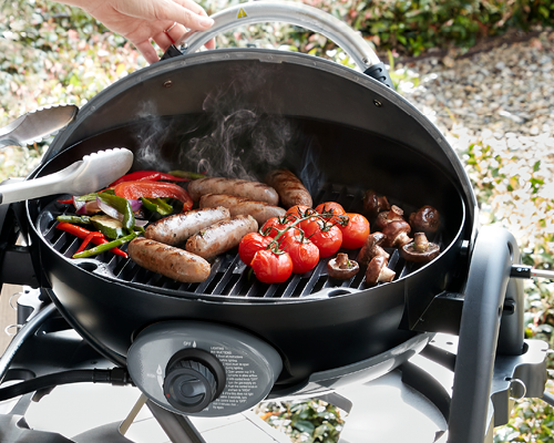 ziggysingledomedhood500x400